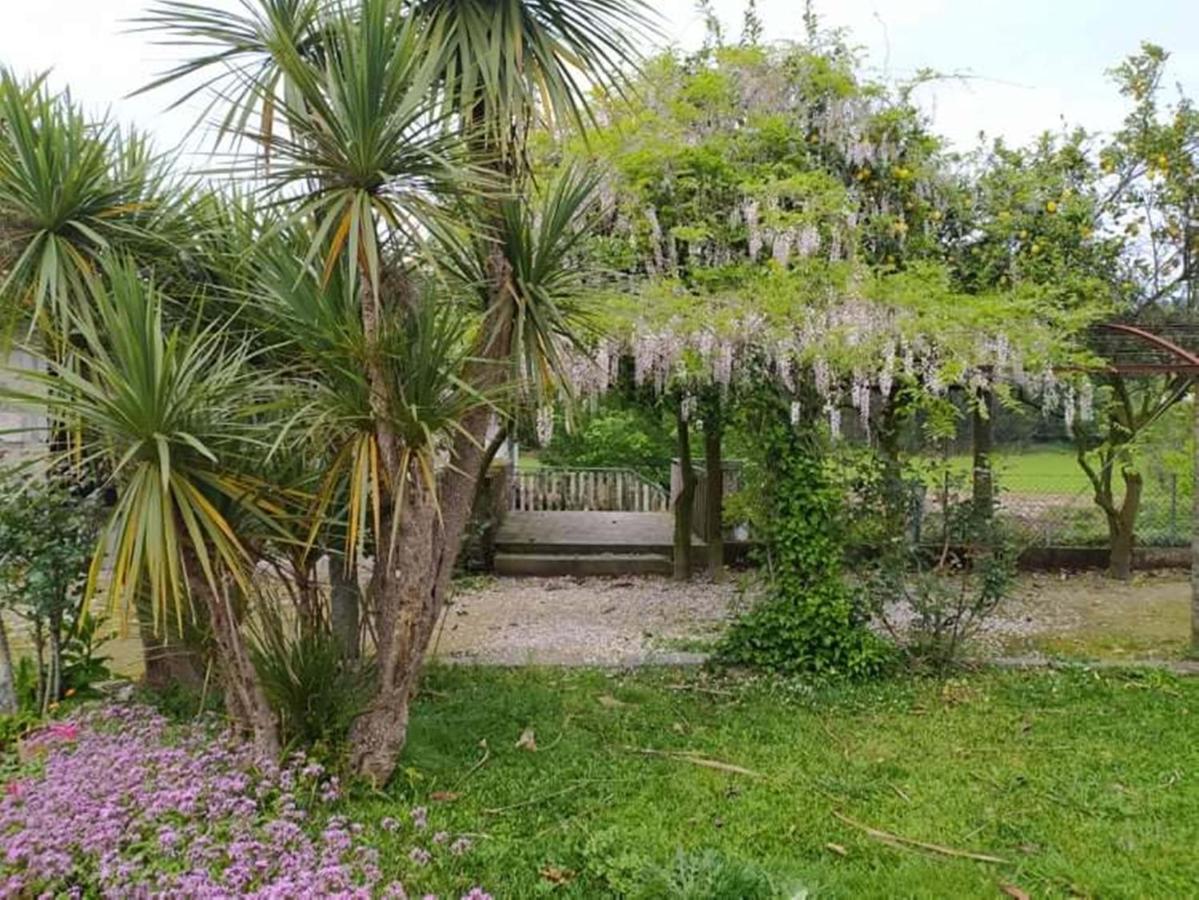 Farm stay Casa De Sta Comba